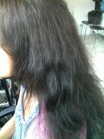 /album/fotogalerie/pred-zahustenim-a-prodlouzenim-bocnich-partii/